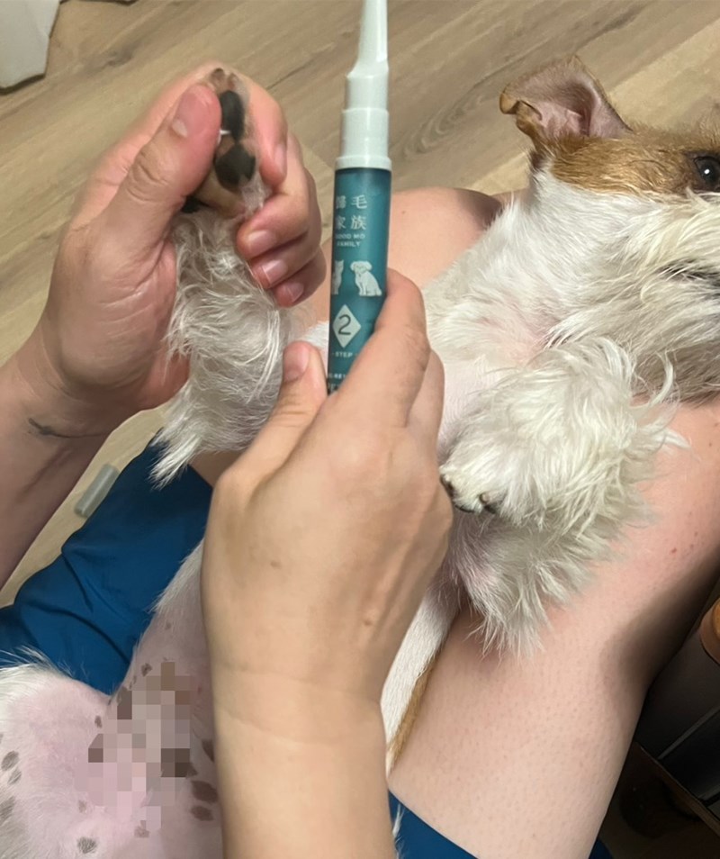 女人知己試用大隊,口碑行銷,部落客行銷,Goodmofamily歸毛家族 寵物肌膚救星組,歸毛家族 寵物肌膚救星,舒敏保濕洗毛乳,護膚噴液,精萃營養霜,博士30年生技專業,給足皮膚營養保護力,無抗生素 無類固醇,神經醯胺,19種綜合胺基酸,榮獲SNQ國家認證,上萬毛爸媽見證,3週幫助皮膚健康,NO.1寵物肌膚口碑霸主,寵物第一護膚領導品牌